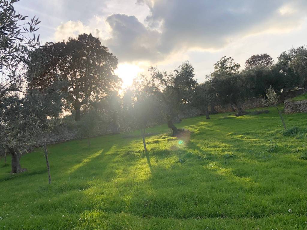 Terreno a Monopoli in Contrada Cervarulo - Foto 5
