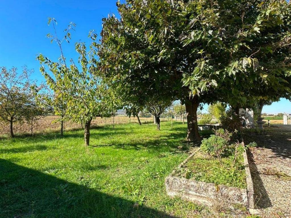 Villa a Gazzola in Località Balletta - Foto 3