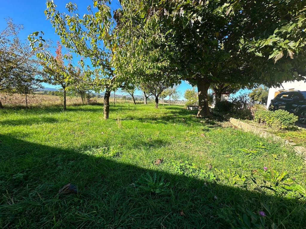 Villa a Gazzola in Località Balletta - Foto 4