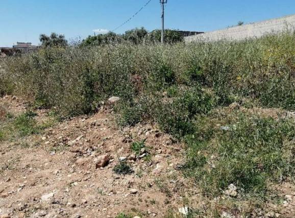 Terreno a Bari - Foto 2