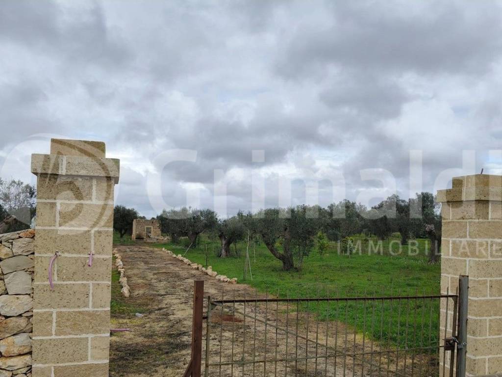 Terreno a Sannicola in Contrada Portolano, snc - Foto 3