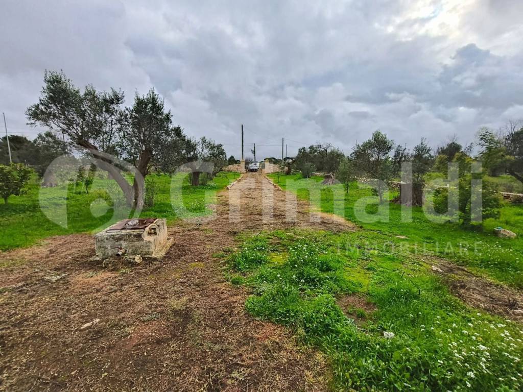 Terreno a Sannicola in Contrada Portolano, snc - Foto 4