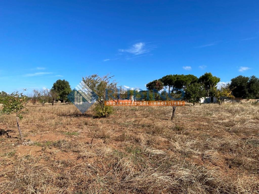 Villa a Polignano a mare in Contrada Monte la Vecchia - Foto 5