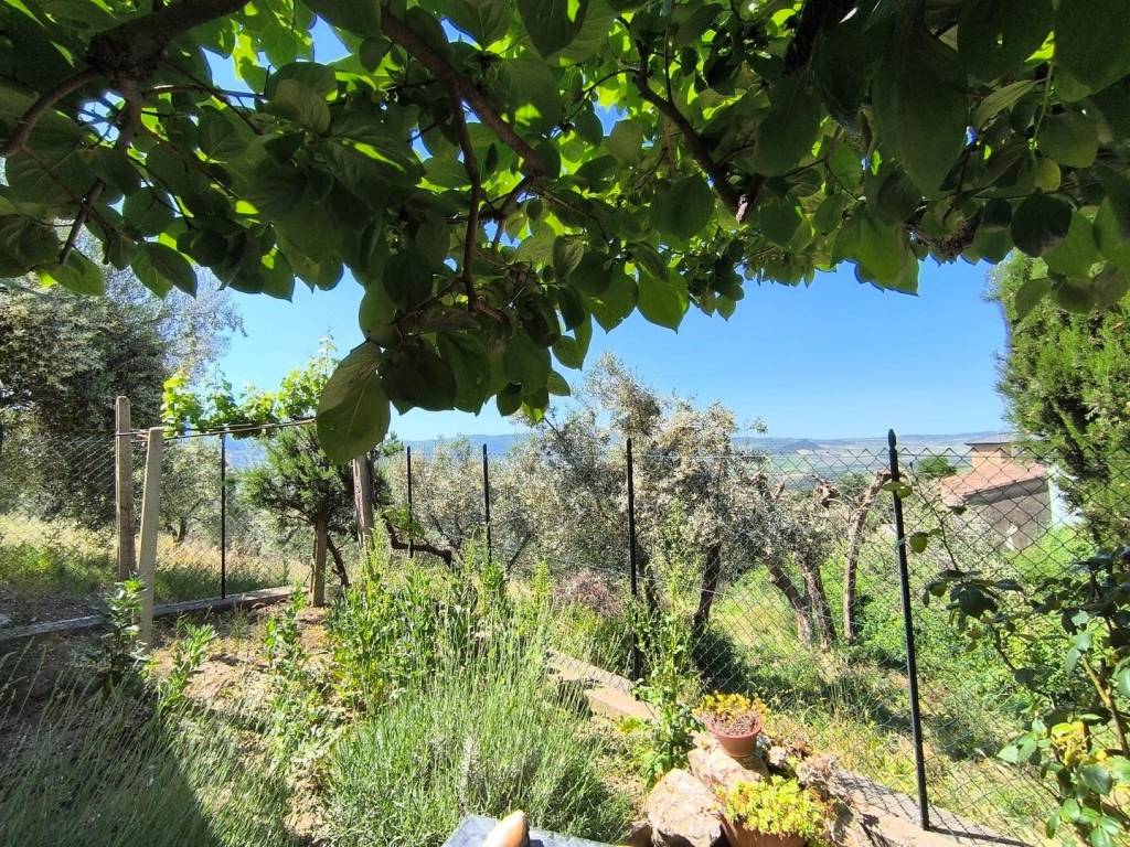 Casa indipendente a Montalcino in Via R. Ferretti - Foto 5