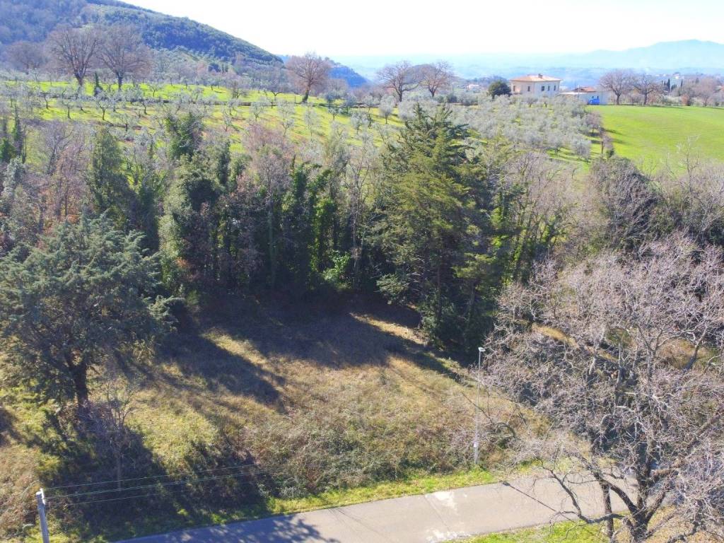 Terreno a Casperia in Località Querceto - Foto 3