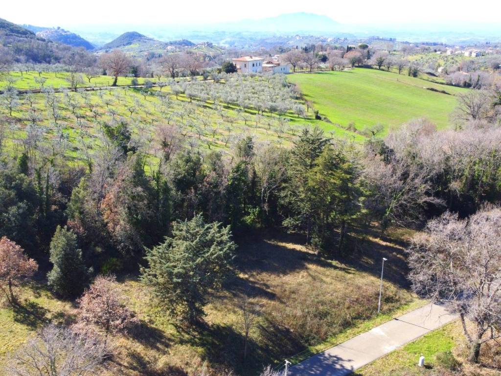 Terreno a Casperia in Località Querceto - Foto 5