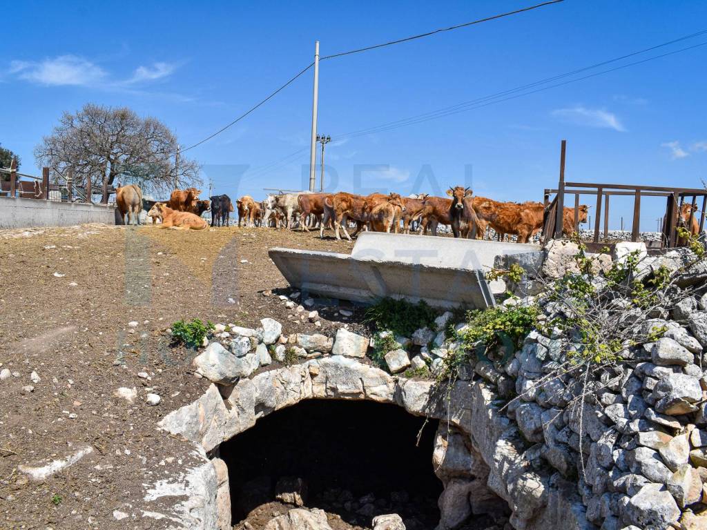 Rustico / casale a Modica in Piazza Principe di Napoli, 1 - Foto 3