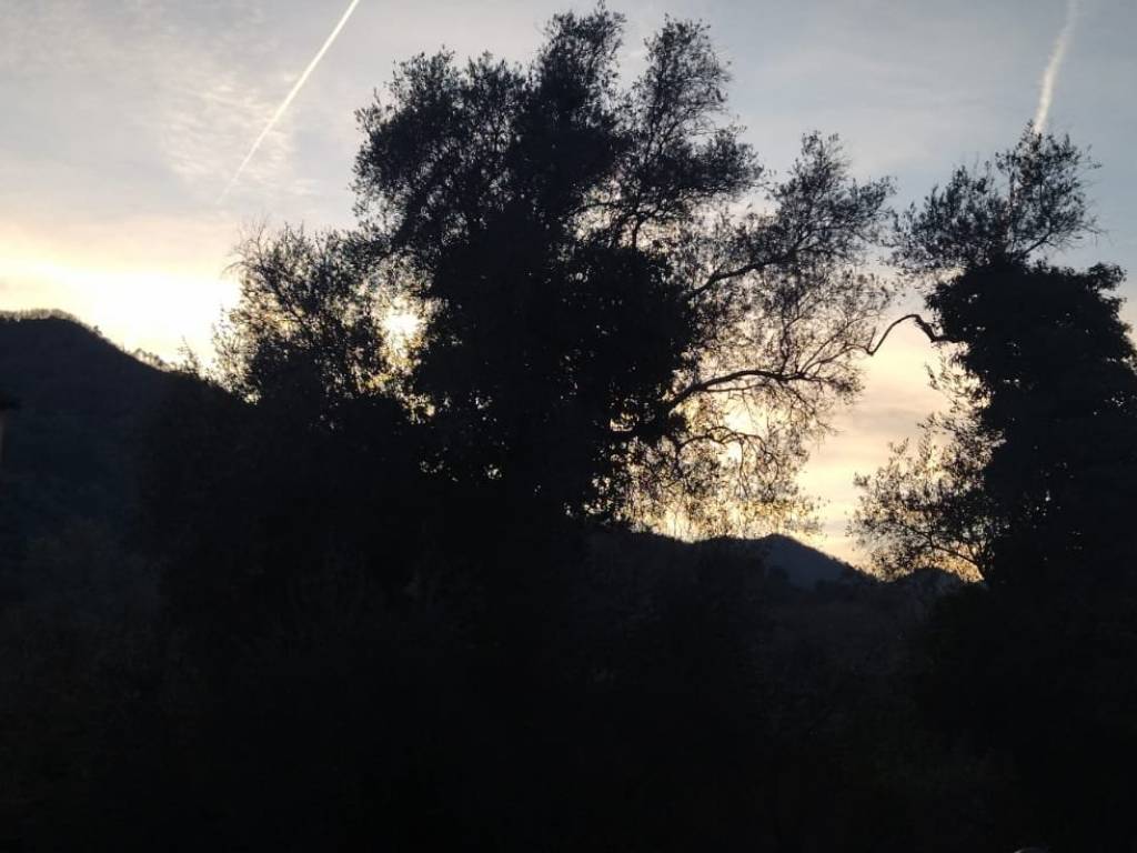 Appartamento a Villanova d'albenga - Foto 2