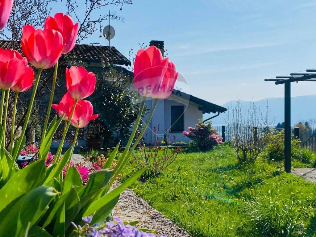 Casa indipendente a Ghiffa - Foto 3