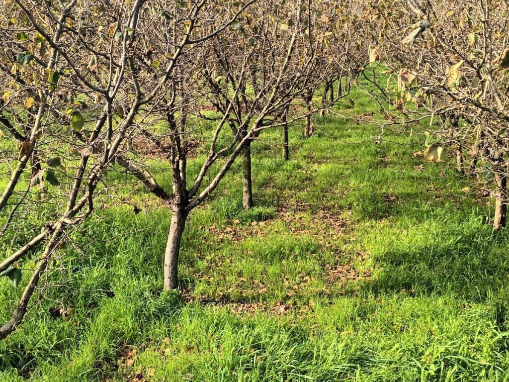 Terreno a Montoro in Via Fratte - Foto 3