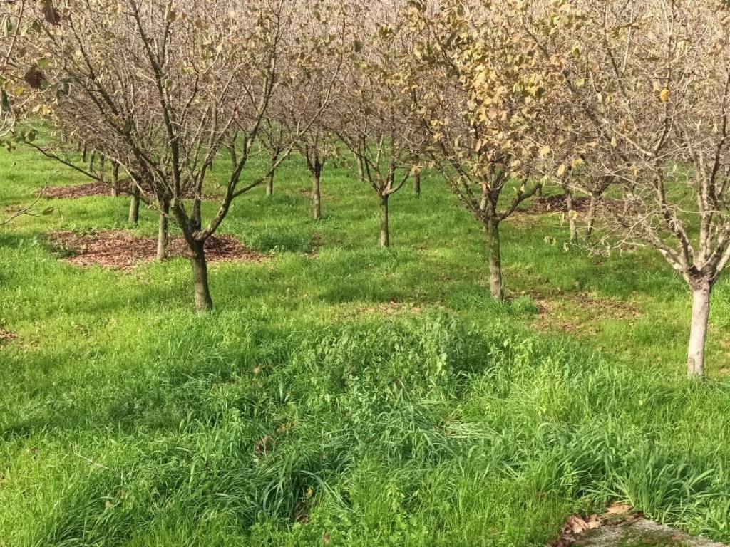 Terreno a Montoro in Via Fratte - Foto 4