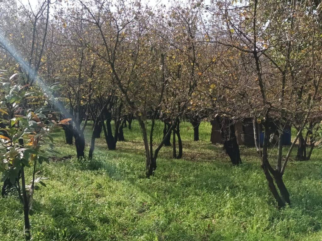 Terreno a Montoro in Strada Statale dei Due Principati Tratto 1 - Foto 3