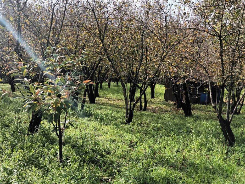 Terreno a Montoro in Strada Statale dei Due Principati Tratto 1 - Foto 5