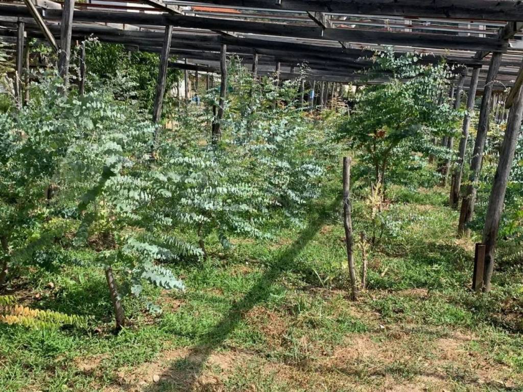 Terreno a Sanremo in Via Alfonso La Marmora - Foto 3