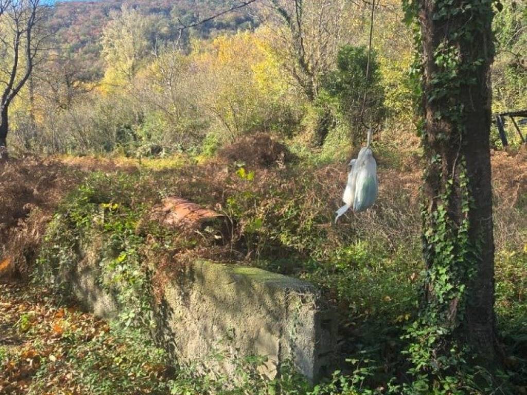 Terreno a Mercato san severino in Via Ciorani - Foto 5