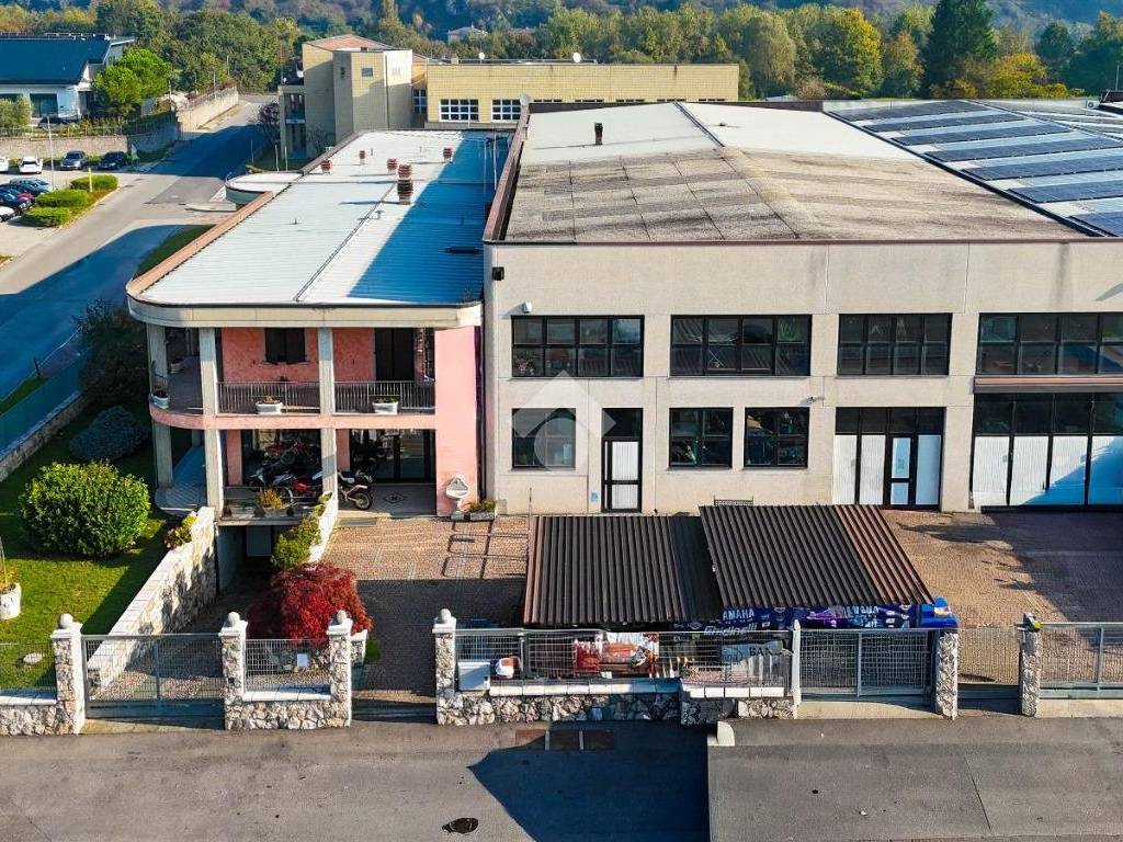 immagine di copertina