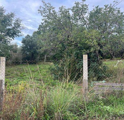 Terreno a Castellabate in Via Ficonera - Foto 2