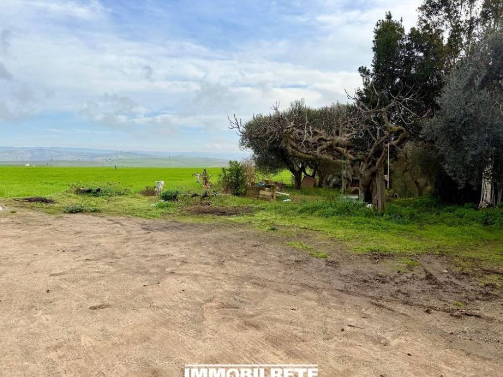 Terreno a Miglionico - Foto 2