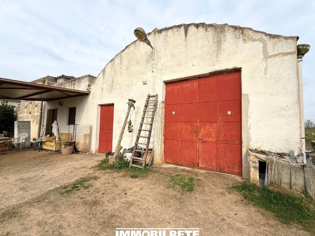 Terreno a Miglionico - Foto 3