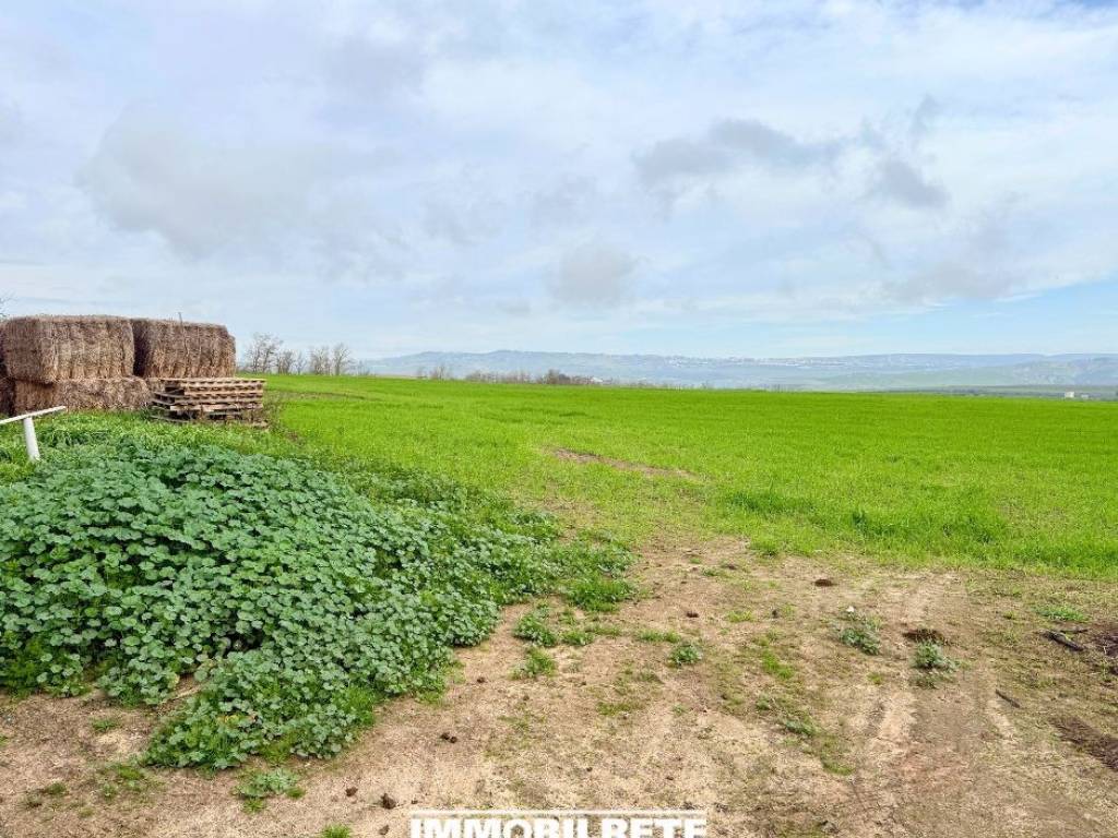 Terreno a Miglionico - Foto 4