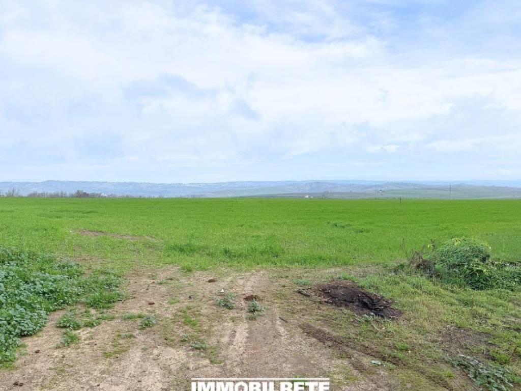 Terreno a Miglionico - Foto 5