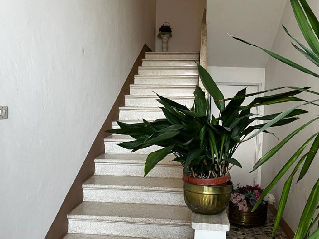 Casa indipendente a Castell'azzara in Via Francesco Petrarca, 65 - Foto 5