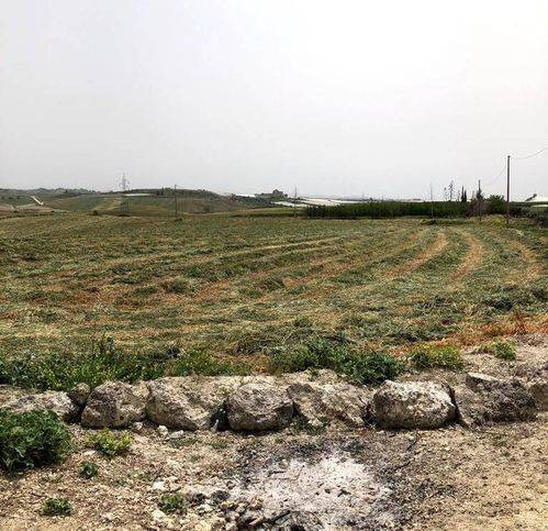 Terreno a Naro - Foto 2