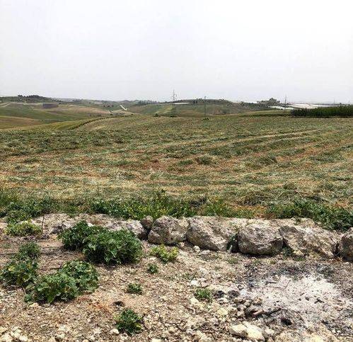 Terreno a Naro - Foto 3