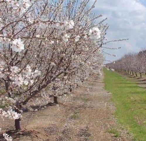 Terreno a Naro - Foto 2