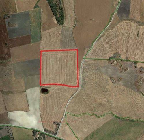 Terreno a Butera - Foto 4