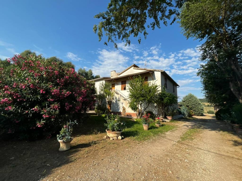 Rustico / casale a Magliano in toscana in Strada Consortile Colle di Lupo - Foto 4