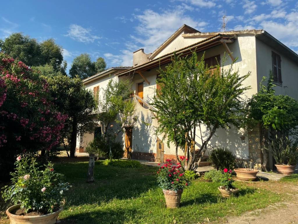 Rustico / casale a Magliano in toscana in Strada Consortile Colle di Lupo - Foto 5