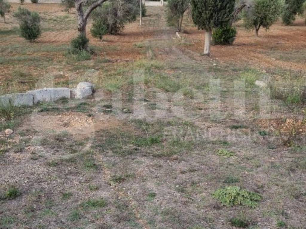 Terreno a Carovigno in contrada Pizzofalcone, 1 - Foto 5