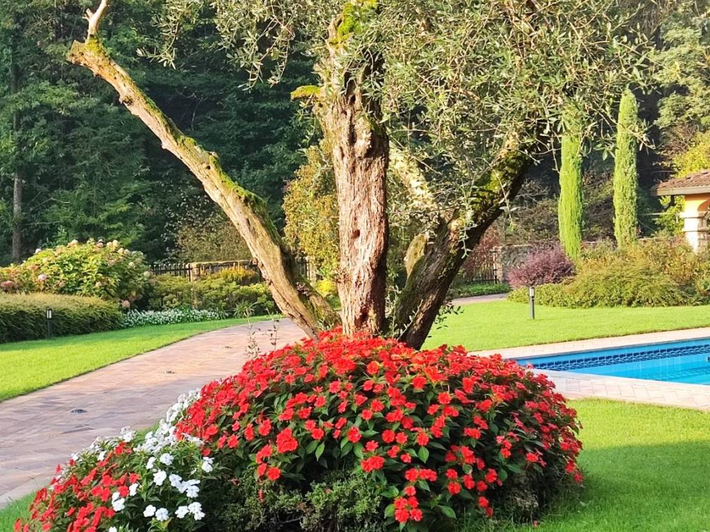 Villa a Alzano lombardo - Foto 2