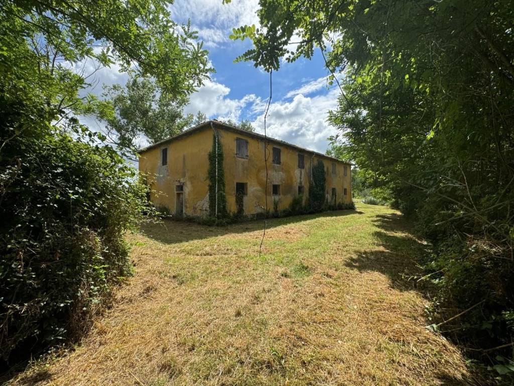 Rustico / casale a Peccioli in GQVC+X, 3 - Foto 3