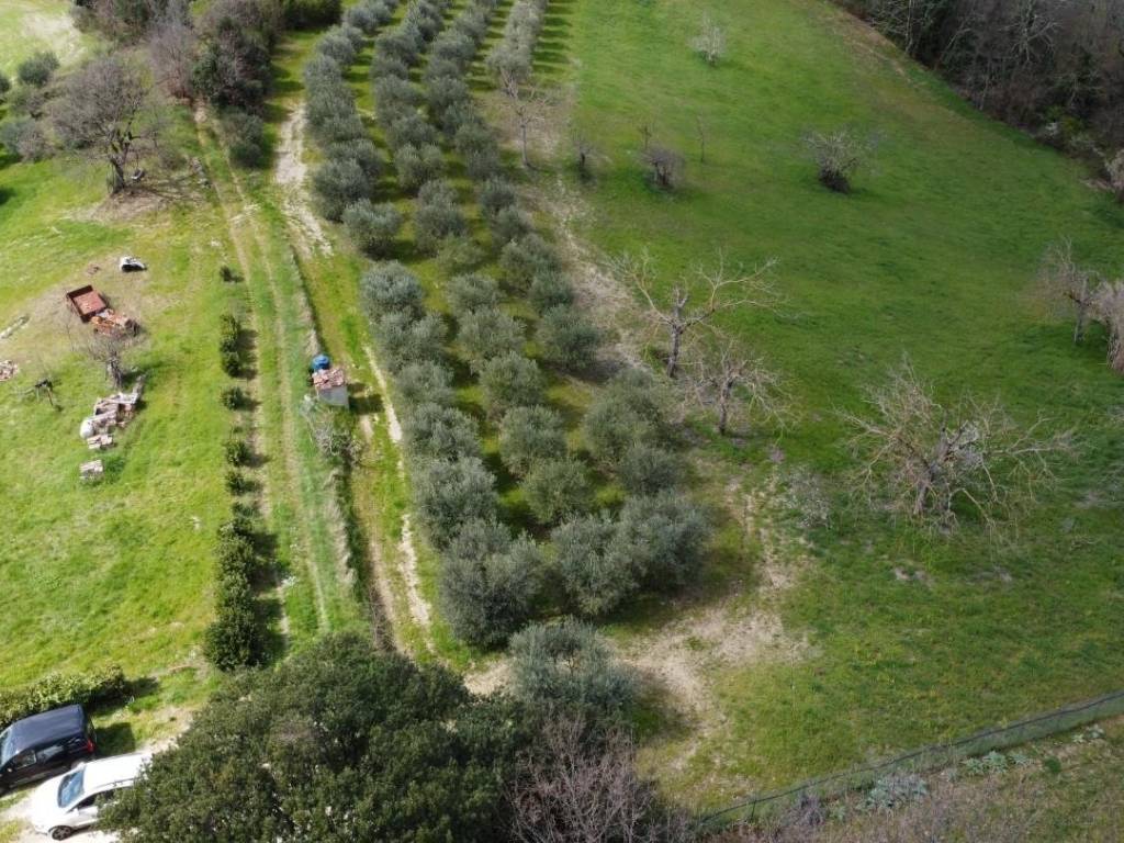 Rustico / casale a Colle di val d'elsa in Pod. Valmonte, , 53034 - Foto 4