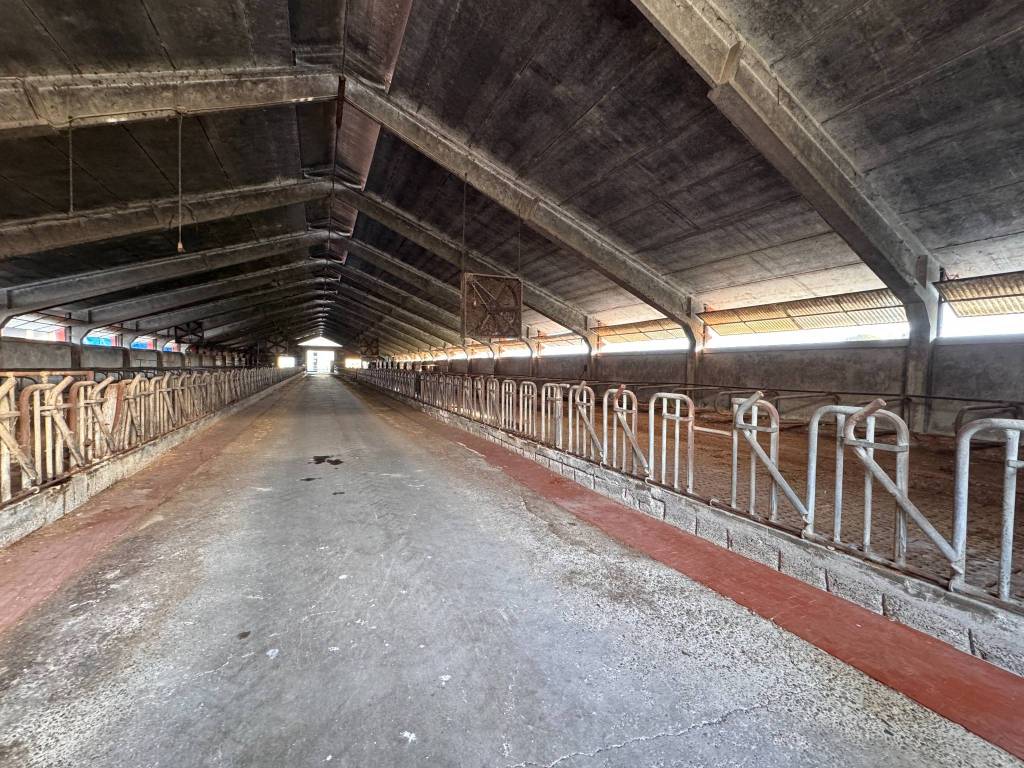 Immobile a Camisano - Foto 2