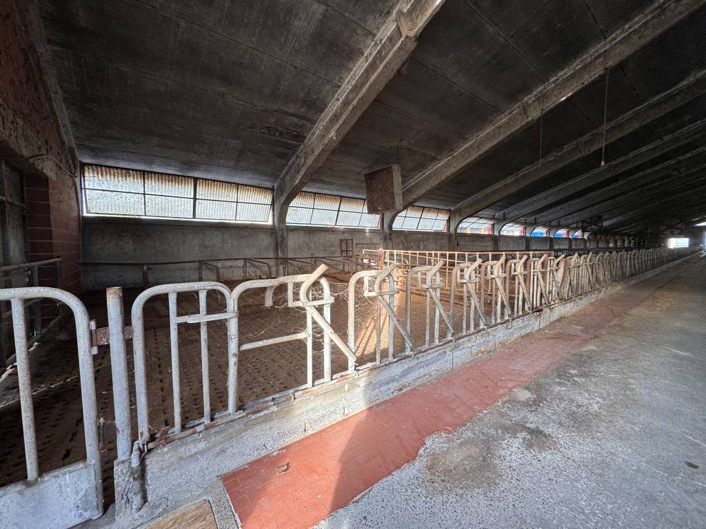 Immobile a Camisano - Foto 3