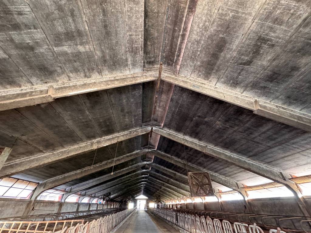 Immobile a Camisano - Foto 4