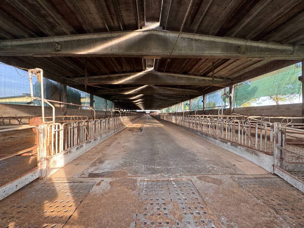 Immobile a Camisano - Foto 5