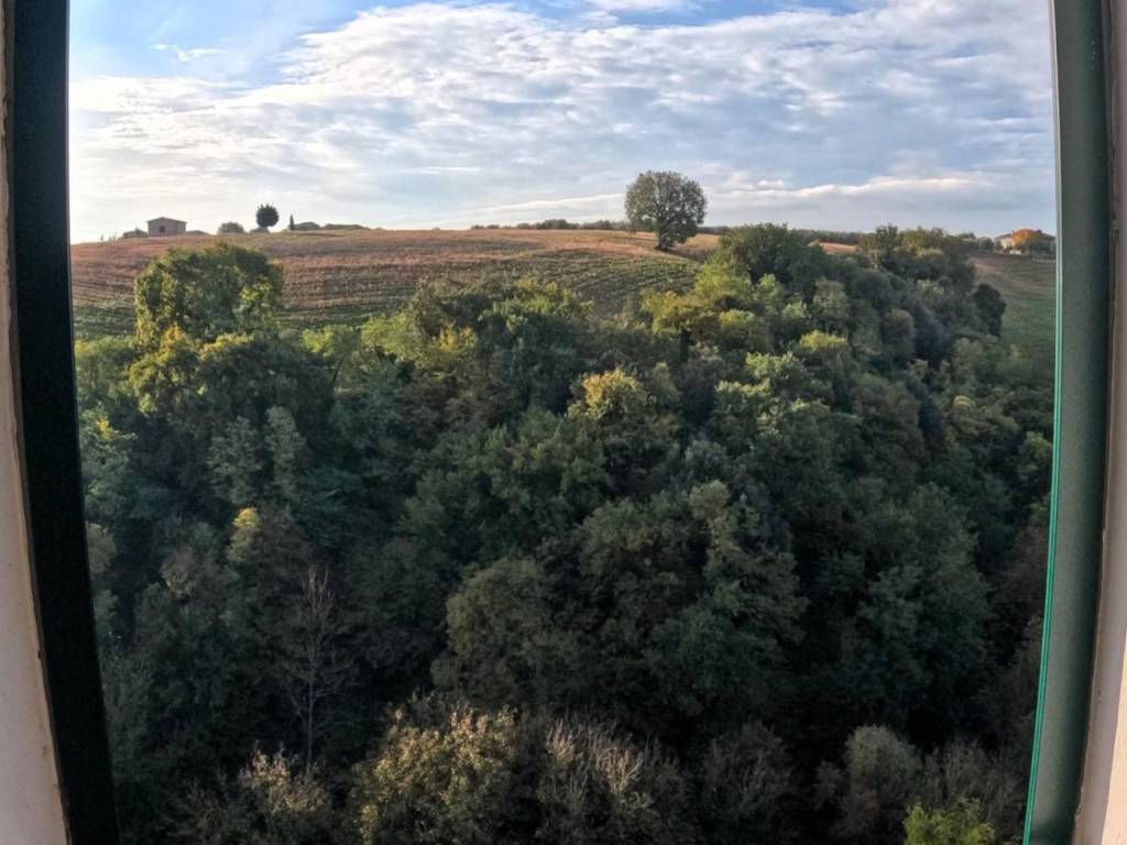 Appartamento a Colle di val d'elsa in Via XX Settembre - Foto 4