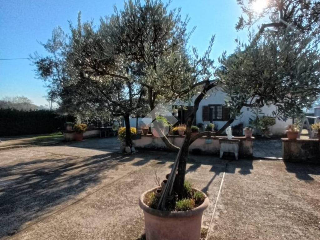 Villa a Olevano romano in Località mola del campo, 1 - Foto 4