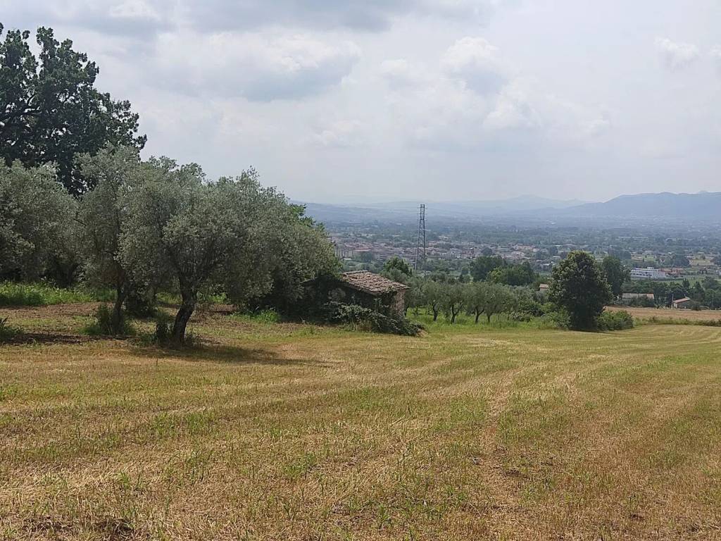Terreno a Alife in Via San Michele - Foto 4