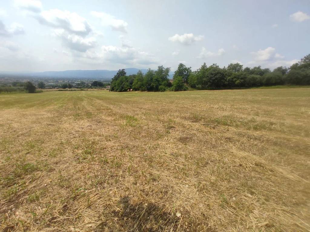 Terreno a Alife in Via San Michele - Foto 5