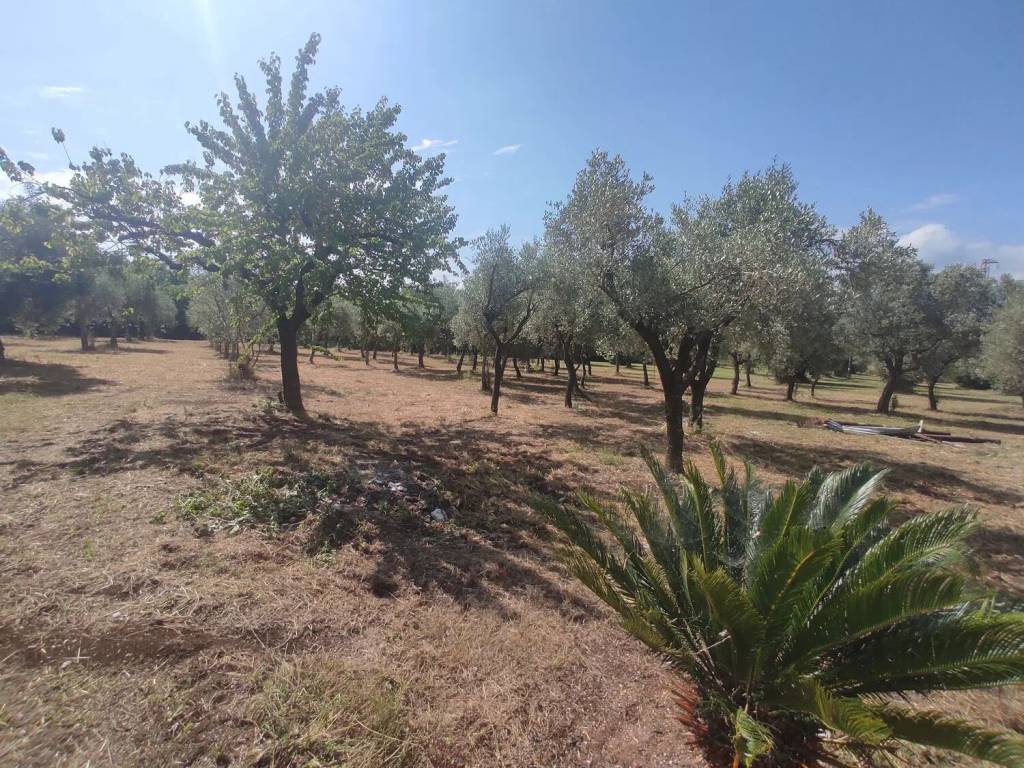 Villa a Sant'angelo d'alife in Via San Rocco - Foto 5