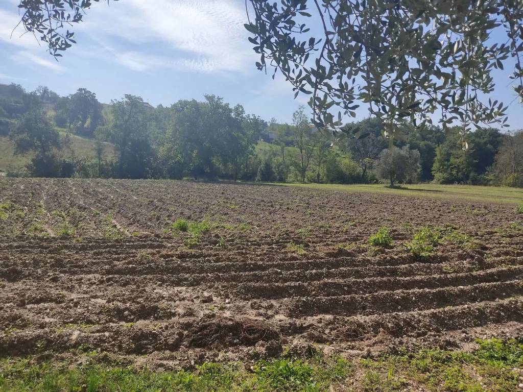 Villa a Gioia sannitica in Frazione Carattano Via Uzzi - Foto 5