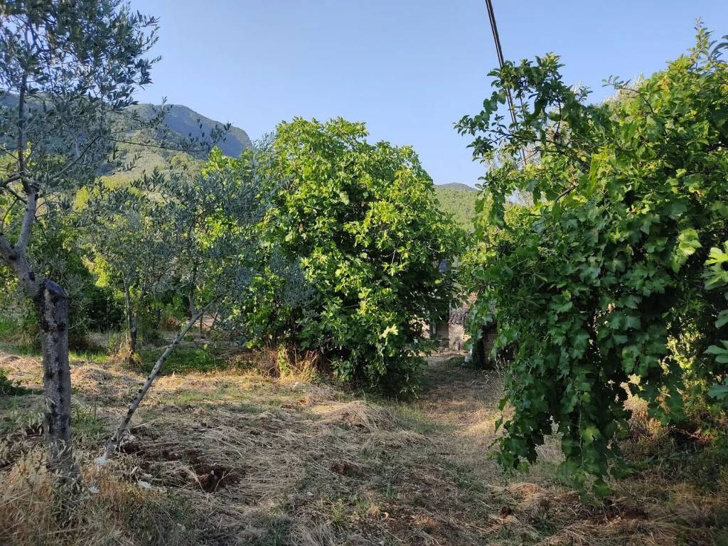 Villa a Alife in Strada Provinciale Piedimonte Sant'Angelo - Foto 2