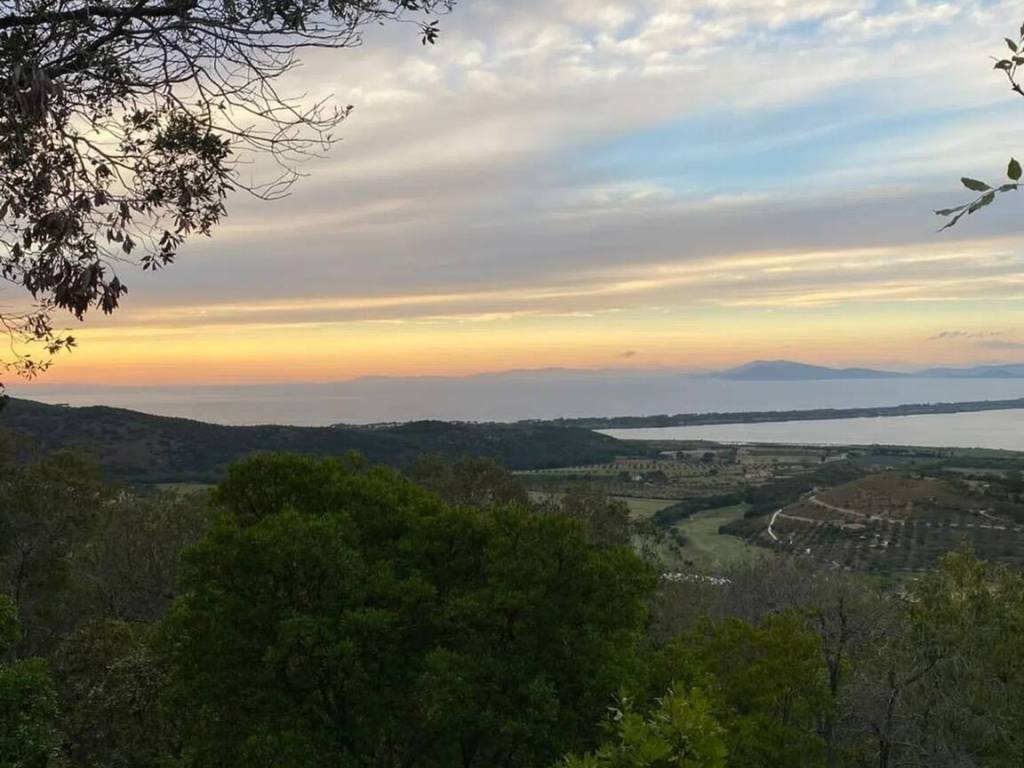 Terreno a Monte argentario - Foto 3