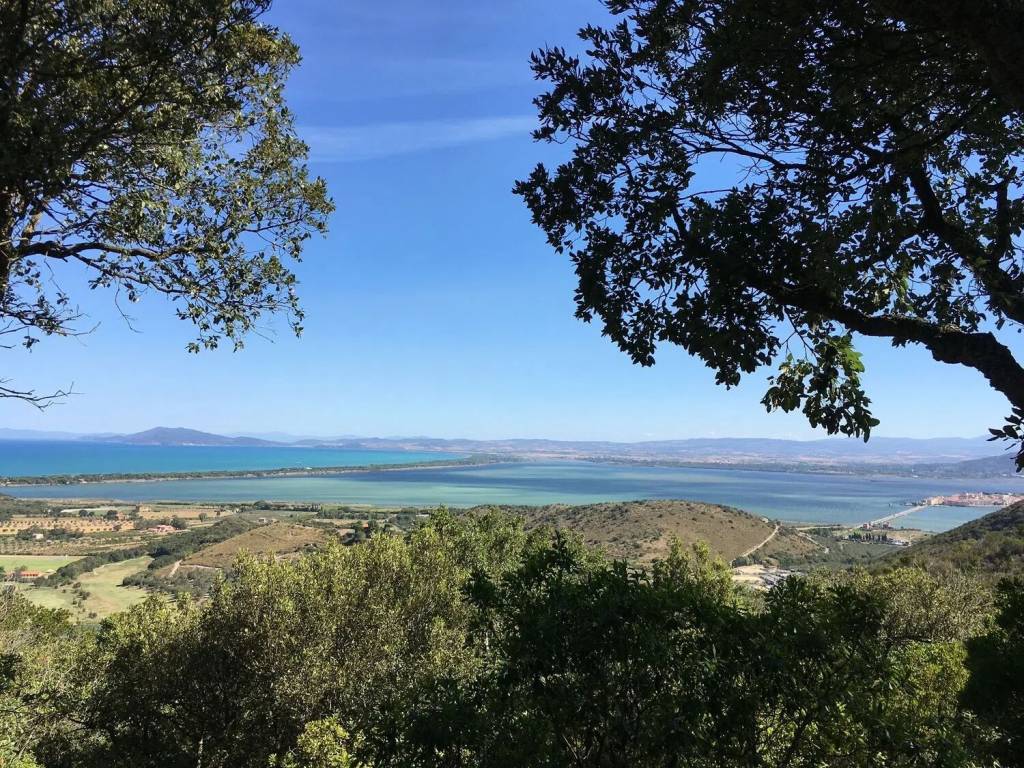 Terreno a Monte argentario - Foto 4