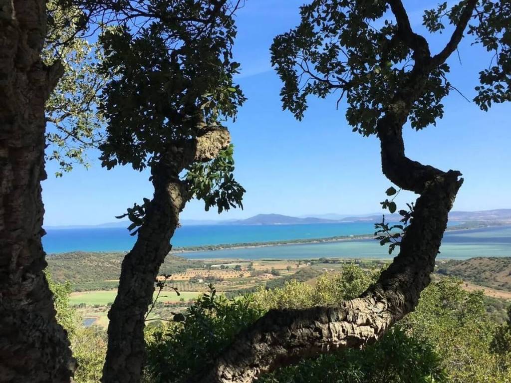 Terreno a Monte argentario - Foto 5